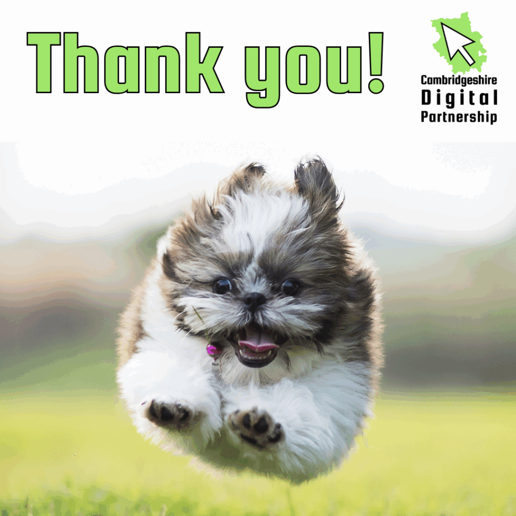 Picture of a small fluffy puppy jumping in the air mid run. They are outside and are running across grass. Text reads: thank you, and we can see the Cambridgeshire Digital Partnership logo.