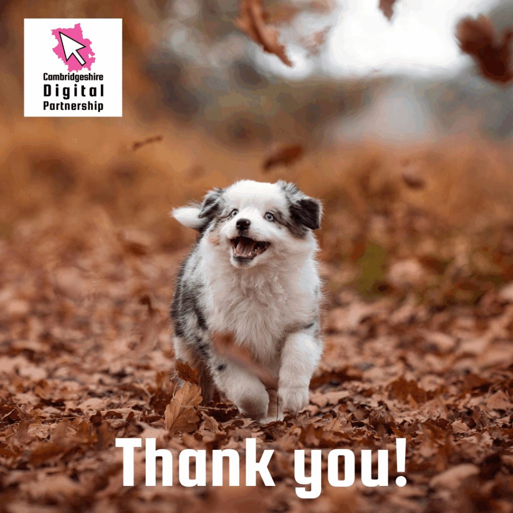 An image of a puppy running through autumn leaves. We see the CDP logo and the text: Thank you!