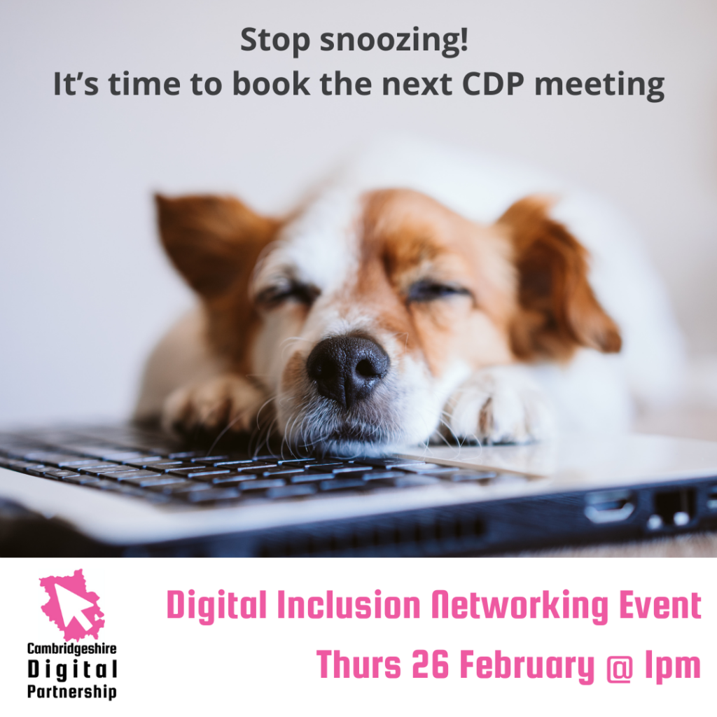 We see a photo of a small white and brown dog asleep on a laptop keyboard. We also see the CDP logo. Text reads: Stop snoozing! It’s time to book the next CDP meeting. Digital Inclusion Networking Event
Thurs 26 February at 1pm.
