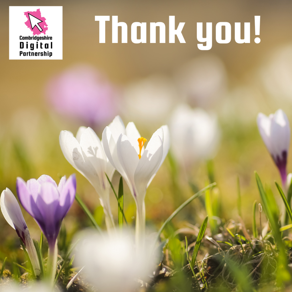 A photo of some purple and white spring flowers. Crocus. With the text: thank you. We also see the CDP logo.